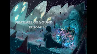 Sentinel of Sound   Episode 16 - Hard Techno