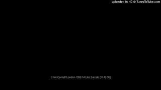 Chris Cornell London 1999 14 Like Suicide (11-12-99)