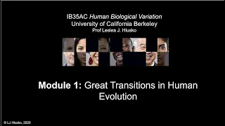 1.3 Great Transitions in Human Evolution