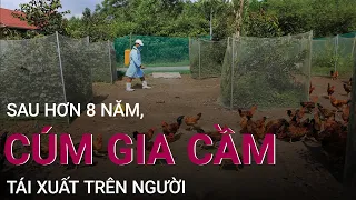 Cúm gia cầm bất ngờ "tái xuất" trên người sau hơn 8 năm | VTC Now