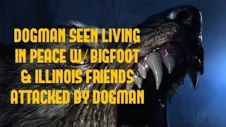 DOGMAN SEEN LIVING IN PEACE W/ BIGFOOT & ILLINOIS FRIENDS ATTACKED BY DOGMAN