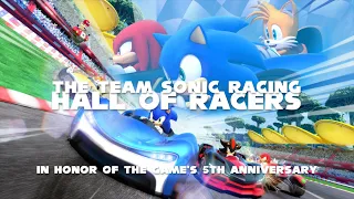 Team Sonic Racing Hall of Racers, The