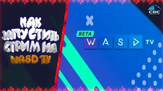 Гайд . Как начать стримить на Wasd tv , Твич и Ютуб . Советы , факты и лайфхаки