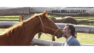Doma India Scarpati de Caballos - TvAgro por Juan Gonzalo Angel