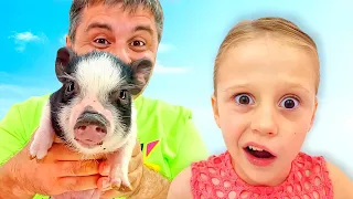 Nastya and dad have new pets! Children's pet stories