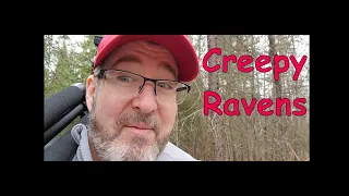 My Bigfoot Story Ep. 169 - Creepy Ravens