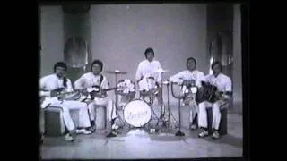 The Dave Clark Five  Because (HQ Audio)