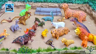 Muddy Mayhem: Dinosaurs vs. Carnivore Wild Animals Adventure | Fun Learning for Kids