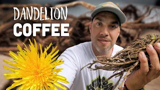 How to Make Dandelion Root COFFEE! 🌞 ☕️ 🦁