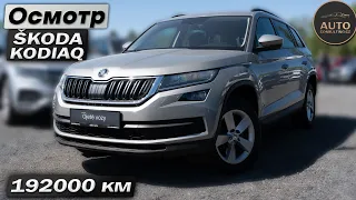 Будни автоподбора | Škoda Kodiaq 2018