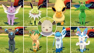 Pokémon Sword & Shield - Eevees Cute Scenes + Shiny (2/2)