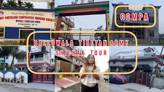 Balluwala tibetan army colony tour||Dehradun vikasnagar ||tibetan vlogger