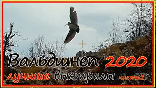 Охота на вальдшнепа в горном Крыму. Лучшие выстрелы сезона 2021, записанные shotkam