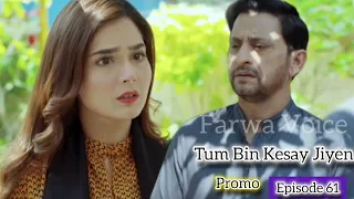 Tum Bin Kesay Jiyen Episode 61  _ Saniya Shamshad _ Hammad Shoaib _ Juniad Jamshaid Niazi