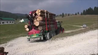 Rimorchio forestale  - Zaccaria forestry trailer