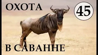 Охота в САВАННЕ.  Новый БРИЛЛИАНТ. TheHunter Call of the Wild # 45