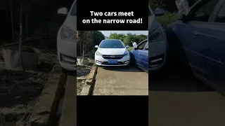 Two cars meet on a narrow country road!#shorts #car #driving