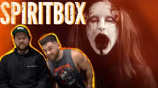 SpiritBox “Holy Roller” Aussie Metal Heads Reaction
