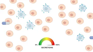 Making Sense of Senolytics