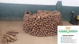 Fresh Yam Production in Ghana by Grade Foods