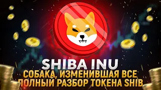 SHIB - повторит ли свой успех? ПОЛНЫЙ Разбор проекта SHIBA INU