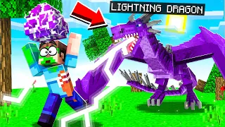 STEALING A *LIGHTNING* DRAGON EGG IN MINECRAFT!