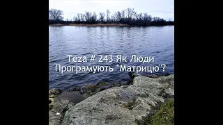 Asparuh8 Теza # 243 Як Люди Програмують "Матрицю"?