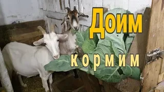 ЛПХ в Уральской глубинке.