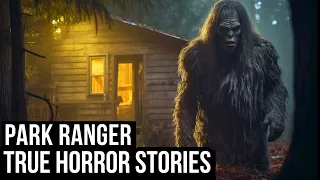 2 Hours Of TRUE Disturbing Park Ranger Horror Stories Told In The Rain (Dogman,Sasquatch,Wendigo...)