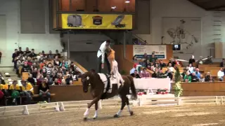 CVI Bern 2015 - PDD GER (CVI3*)