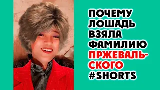 Анекдот - Почему лошадь взяла фамилию Пржевальского #shorts