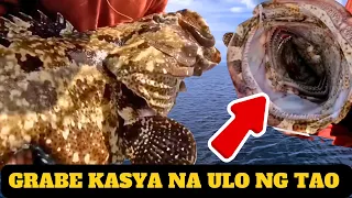 MABISANG PAMAIN sa Malalaking GROUPER (fishing in the philippines 2023 )