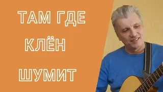 Там где клён шумит на гитаре .ВИА Синяя птица