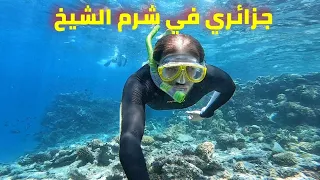 السياحة في شرم الشيخ بأعين #جزائري