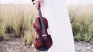 Vol.5【小提琴流行曲】12首小提琴曲 轻音乐 Violin Music