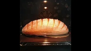 Bread Dough Rising in The Oven (Compilation) Satisfying