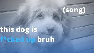 This dog is f*cked up bruh (SONG)