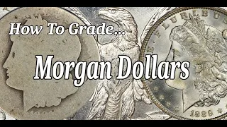 How To Grade Morgan Silver Dollars - My Personal Grading Technique
