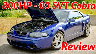 Review - 800HP 2003 Ford Mustang SVT Cobra | The Terminator