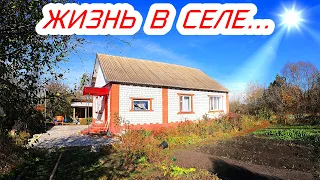 Мы снова на связи.Жизнь в селе.