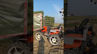 onions planting machine 2022