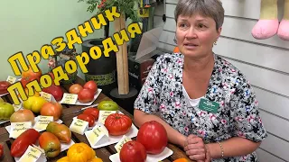 Урожайные томаты в любую погоду