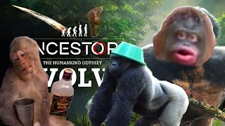 I Want to Go Monke / ancestors humankind odyssey