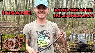 INSANE Mud Snake in January! Alabama Flipping