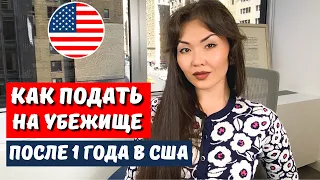 Сроки подачи политического убежища в США в 2023 - политическое убежище в США 2023  Иммиграция в США