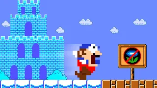 When everything Mario touches Iced in New Super Mario Bros. Wii? | 2TB STORY GAME