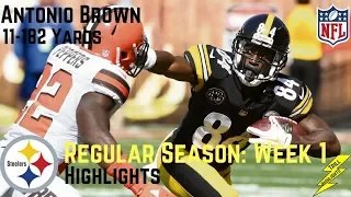 Antonio Brown Week 1 Regular Season Highlights Consistency! | 9/10/2017