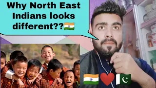 Pakistani Reaction on | Why do north east indians look different from other indians?|