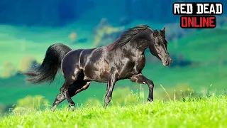 Red Dead Online-This is why the Black Arabian Horse is the best in the game!