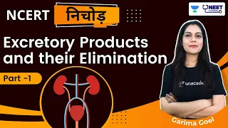 Excretory Products and Their Elimination | part-1 | Unacademy NEET Toppers | Garima Goel